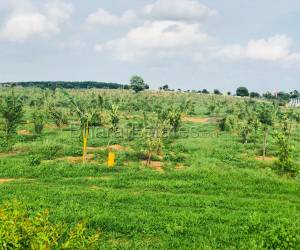 Residential in badangpet in project  Hyderabad Hyderabad 1.52 Crore