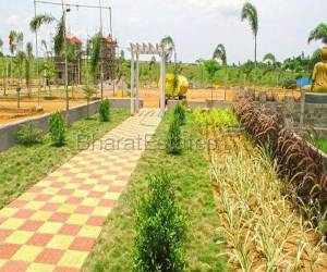 Residential in white filed  Dundigal Hyderabad 28.0 Lakh