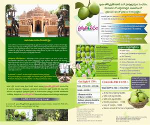 Residential in Swayam homes pvt Ltd  Ghanpur Hyderabad 2.0 Lakh