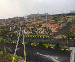 Residential in Vikhyath Haritha Vanam  Bhongiri-Warangal Highway Hyderabad 12.0 Lakh