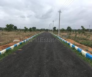 Residential  , 1650.0 Sq. Feet Financial District Hyderabad 50.0 Lakh