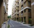 2 bhk Apartment/Flat for rent in Sanath Nagar