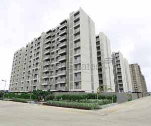 Apollo DB City- Aurum & Eldora