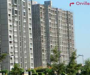 Apollo DB City- Orville