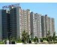 Apollo DB City- Christa Nipania Indore