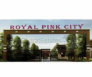 Royal Pink City
