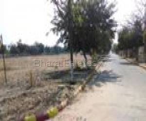 100 SQYD PLOT FOR SALE IN ANSAL SUSHANT CITY 1ST 