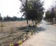 100 SQYD PLOT FOR SALE IN ANSAL SUSHANT CITY 1ST 