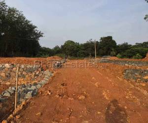 Plot/Land for sale in Kakkanad