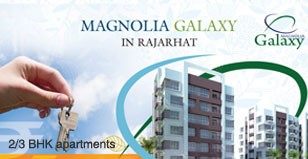 Hot Project - Magnolia Galaxy