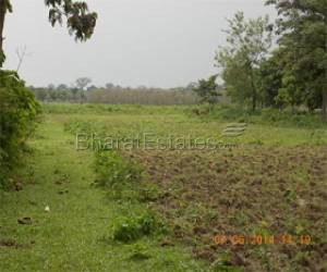 Land For Sale Near Alipurduar Just For 8 Lakhs