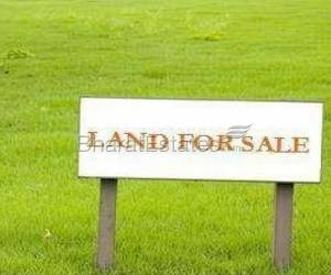 54 Kottahs Land On Sale At Bombay Road NH6