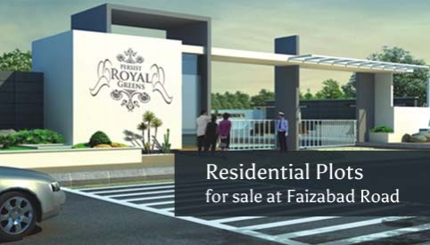 Persist Royal Greens