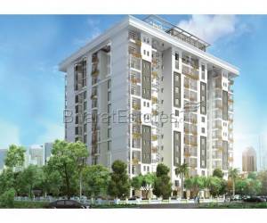 Tulsiani Luvnest -Flats near Raebareli Road