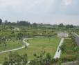 Plot/Land for sale in Raibareli road