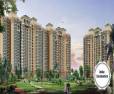  BHK Flats available in Omaxe World