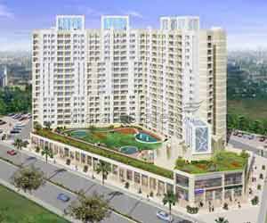 Hubtown Redwood & Rosewood