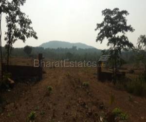 Golden Opportunity For All Investors Land Buyers  