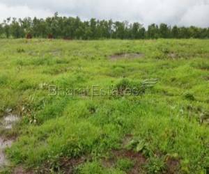 Land For Sell in Murbad â€“ Karavale