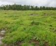 Land For Sell in Murbad â€“ Karavale