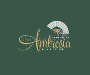 Ambrosia Aroma