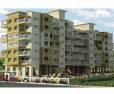 Satyam Exotica: Image 3