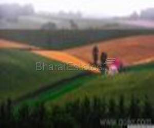 Plot/Land for sale in Kamptee Road