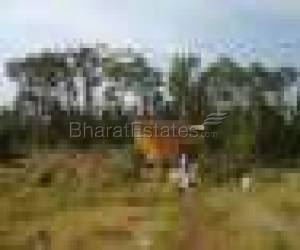Plot/Land for sale in Hingna Road