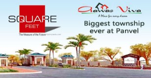 Hot Project - Awas Viva