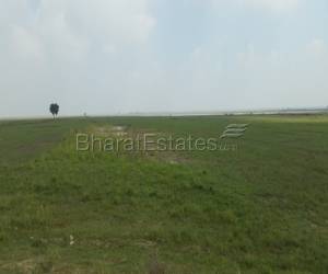 Plot for Sale in Sonepur Bihar