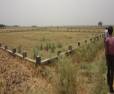 3 bhk Plot/Land for sale in Danapur