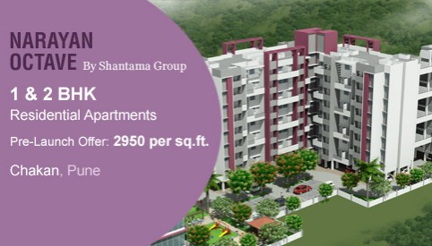 Narayan Octave