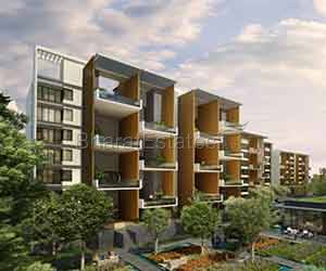Marvel Selva Ridge Estate