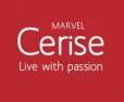 Marvel Cerise Kharadi Pune