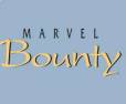 Marvel Bounty Hadapsar Pune