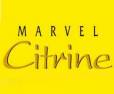 Marvel Citrine Kharadi Pune