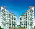 Ekta California Kondhwa Pune