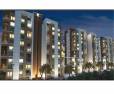 Gini Viviana Balewadi Pune