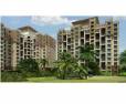 Tropica Ravet Pune