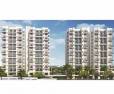 Astonia Classic Undri Pune
