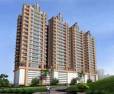 45 Nirvana Hills Kothrud Pune