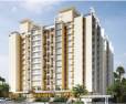 Amit Colori Undri Pune