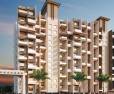 Pristine Prolife II Wakad Pune