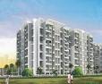 Silver Palm Grove Ravet pune