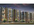 Suyog Nisarg: Image 7