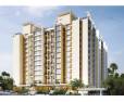 Amit Colori: Image 1