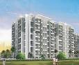 Silver Palm Grove: Image 1