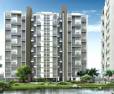 Urban Rise: Image 1