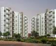 Urban Rise: Image 2