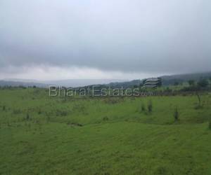 Agriculture land for sale 4 lakh per acre near pune
